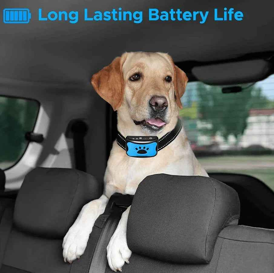 Black TechPlus dog anti-barking collar with beeping function, rechargeable dog training device for reducing barking, shown on a dog.
