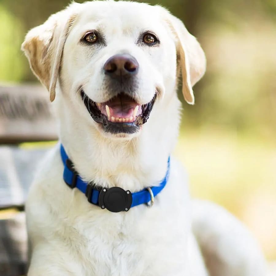 Waterproof Apple Air Tag Holder for Dogs That Watch Shop