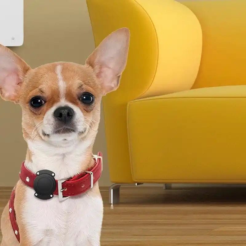 Waterproof Apple Air Tag Holder for Dogs That Watch Shop