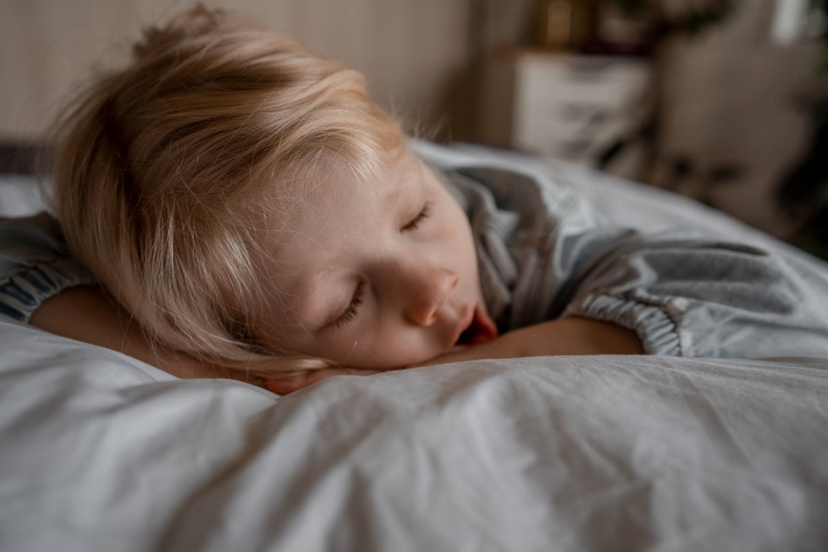 Wisewool™ Cloud Pillow Do Not Disturb Sleep Company